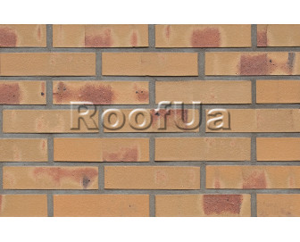 Hagemaister dresden gt 